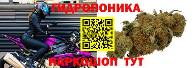 мяу мяу мука Чапаевск