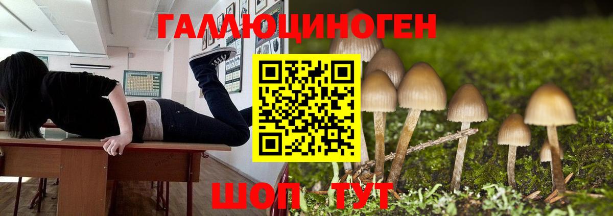 Галлюциногенные грибы мицелий  Вход с VPN  Выкса 